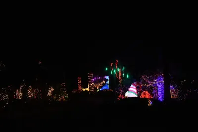 DSC_6756 (Large).JPG